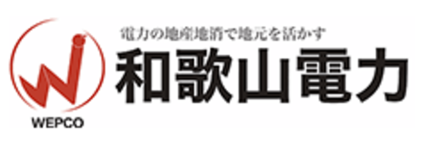 奈良電力の基本情報